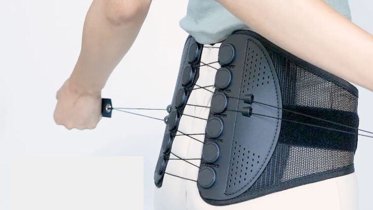 ガードナーベルトの販売店を調査